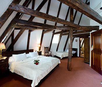 Cerny Slon Hotel