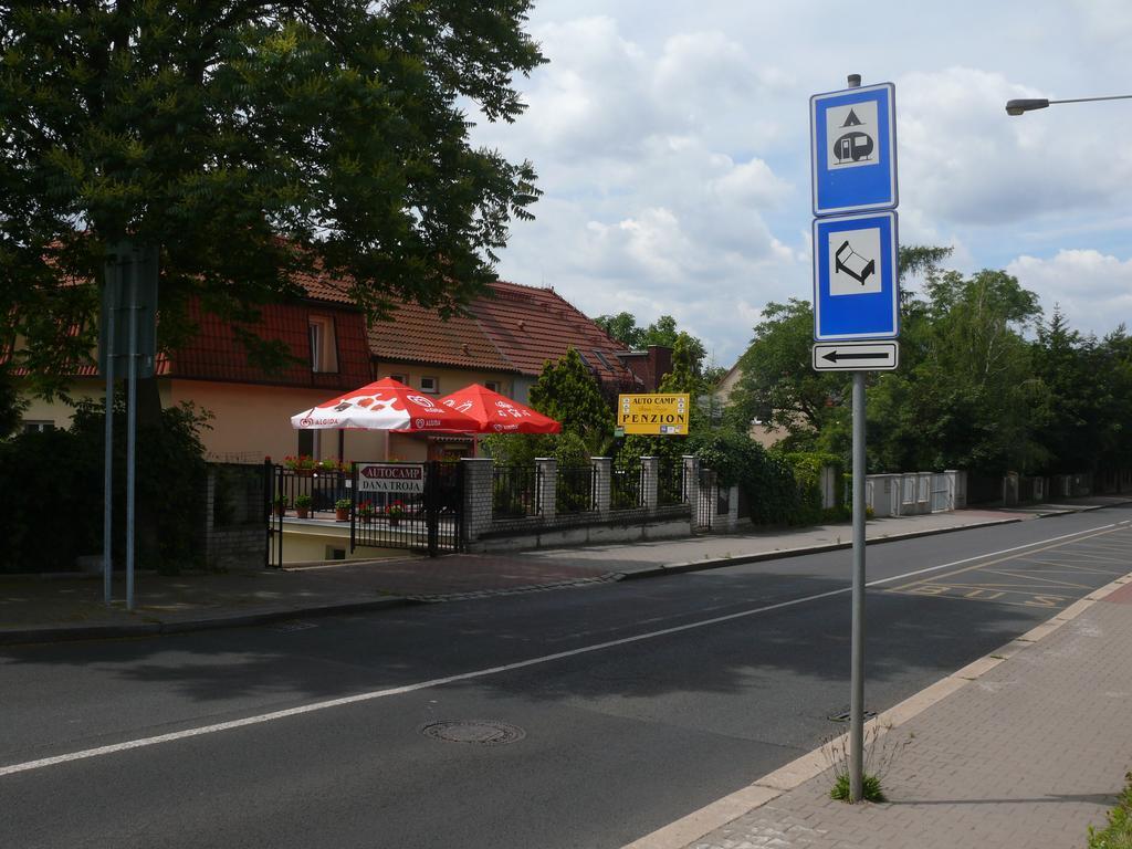 Dana Troja *