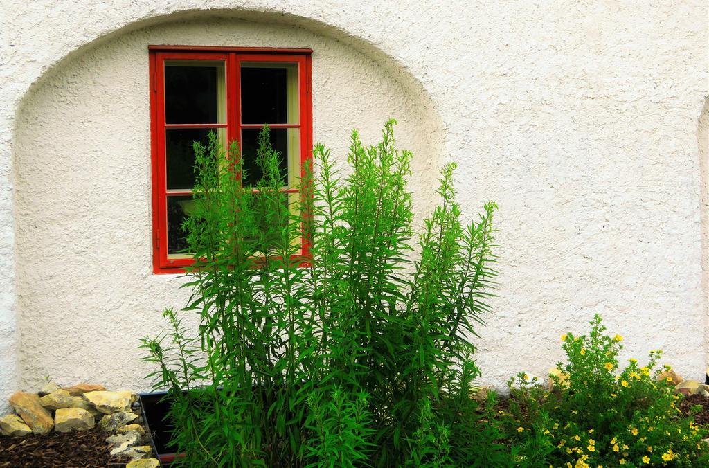 Garden Castle Daire Prag