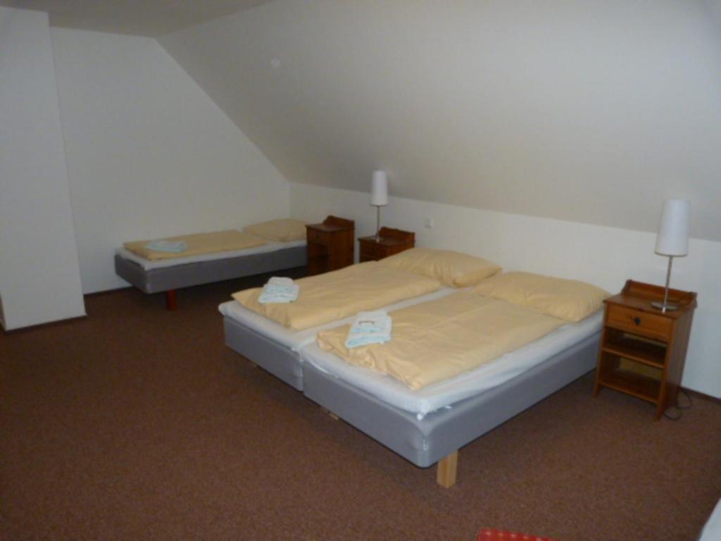 Guest house Cesky Statek 3*