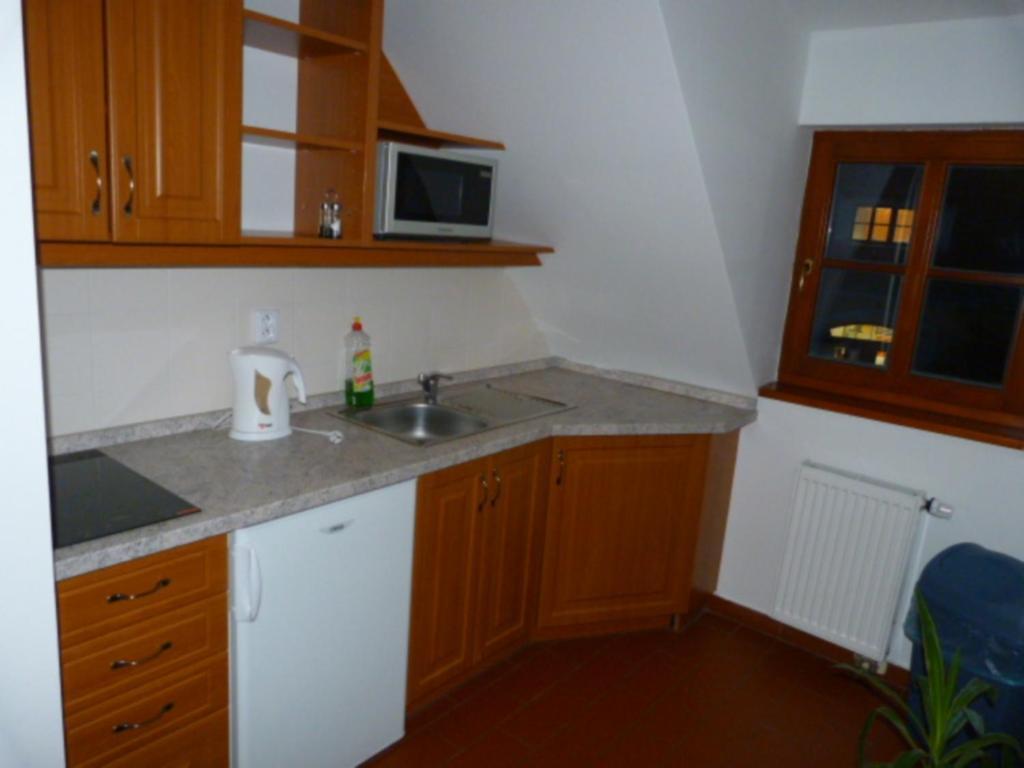 Guest house Cesky Statek 3*