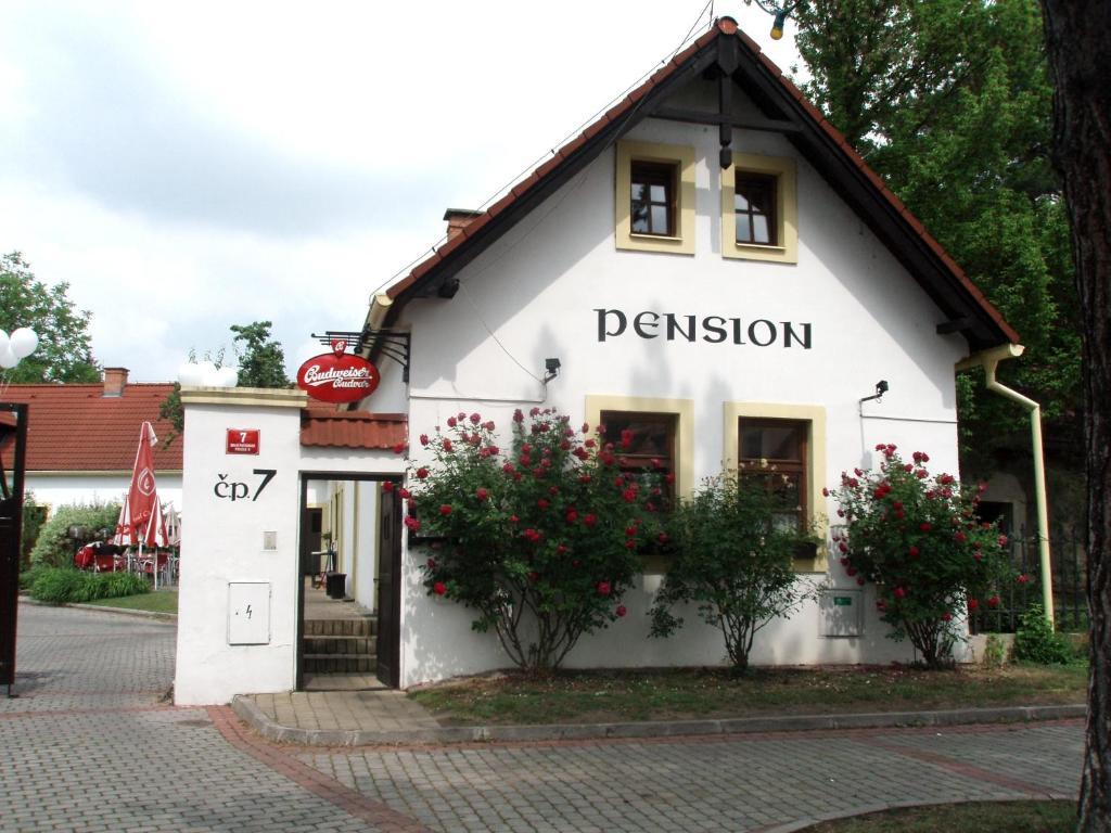 Guest house Cesky Statek 3*