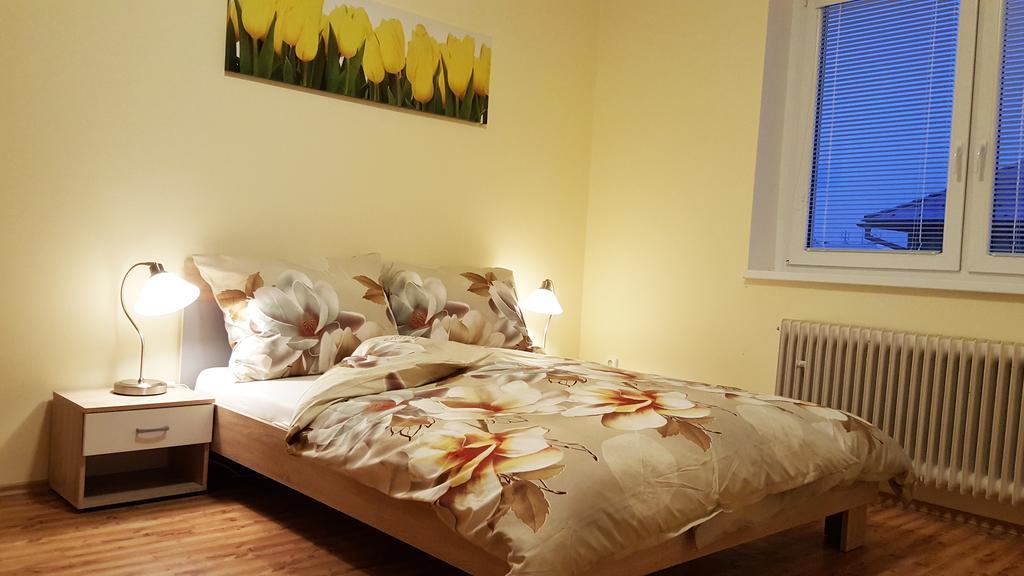 Bohdalec Apartment *