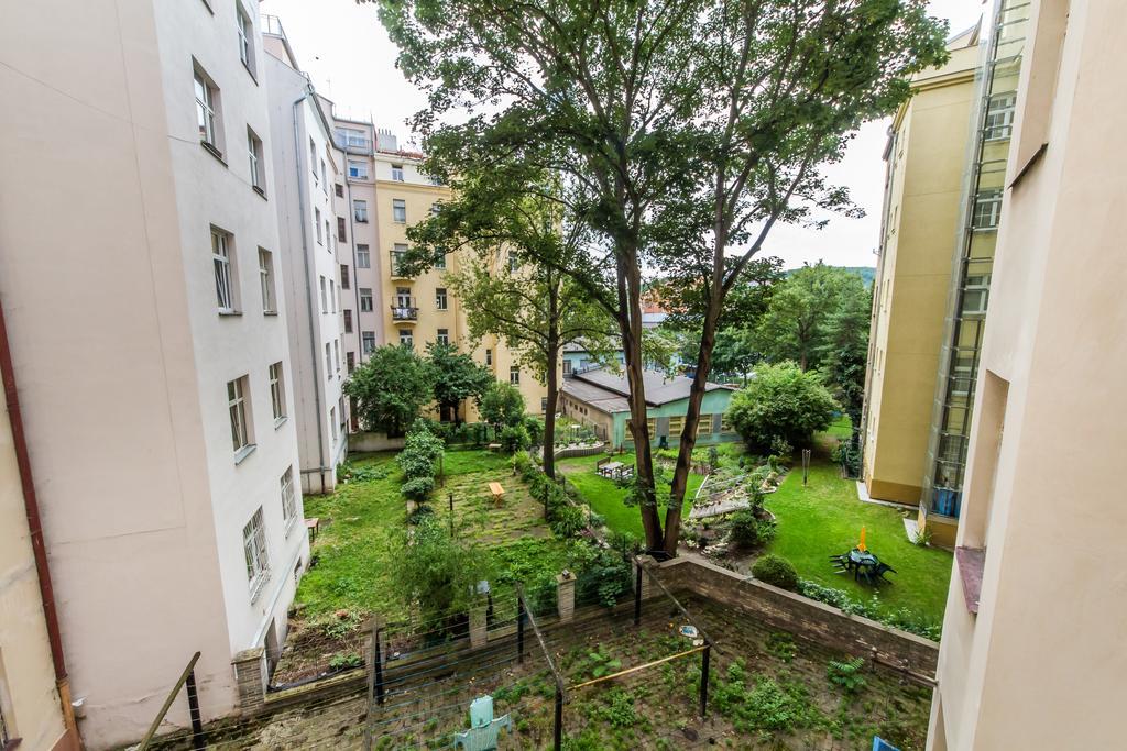 Great Apartment