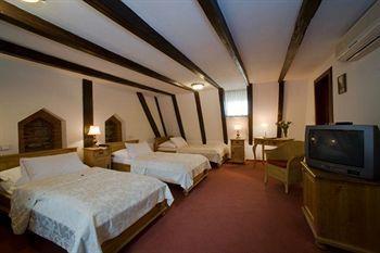 Cerny Slon 4* Praga