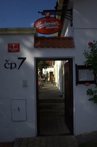 Cesky Statek Guest house 3*