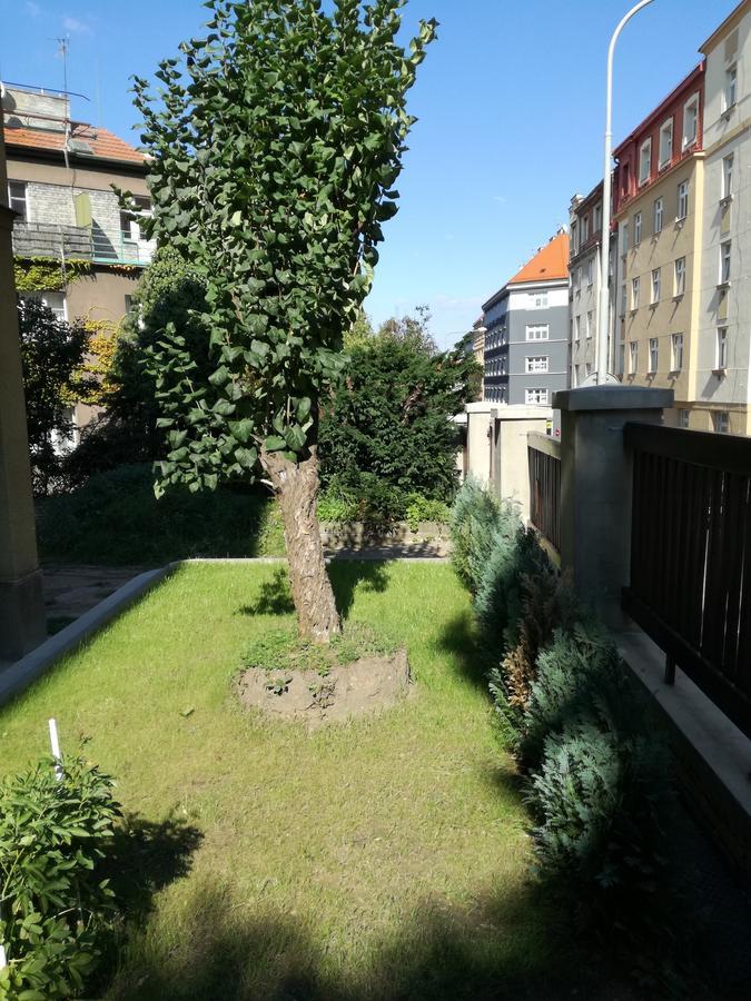 Jezerka * Prag