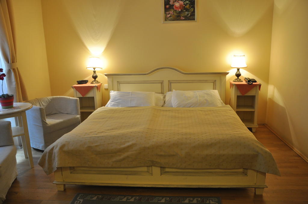 Hotel Cerny Slon 4*
