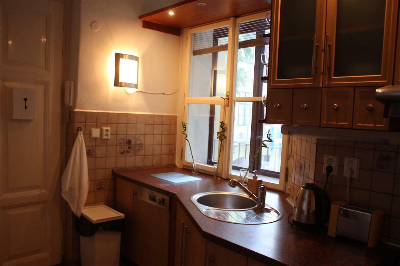 Spacious Charles Bridge Apt In The Heart Of Apartment
