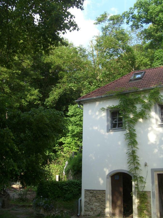 Villa Domecek U Zoo *