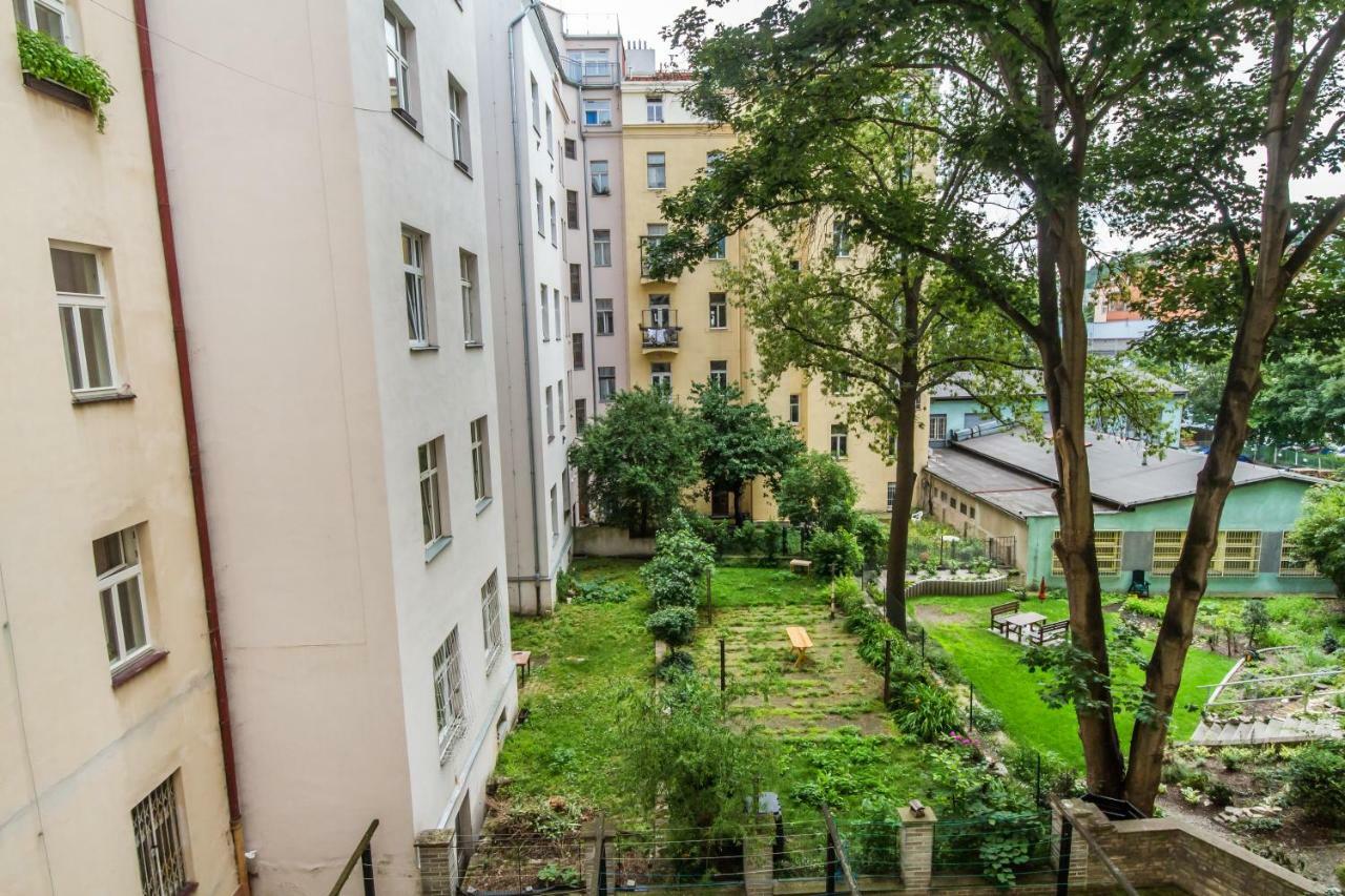 Great Apartment