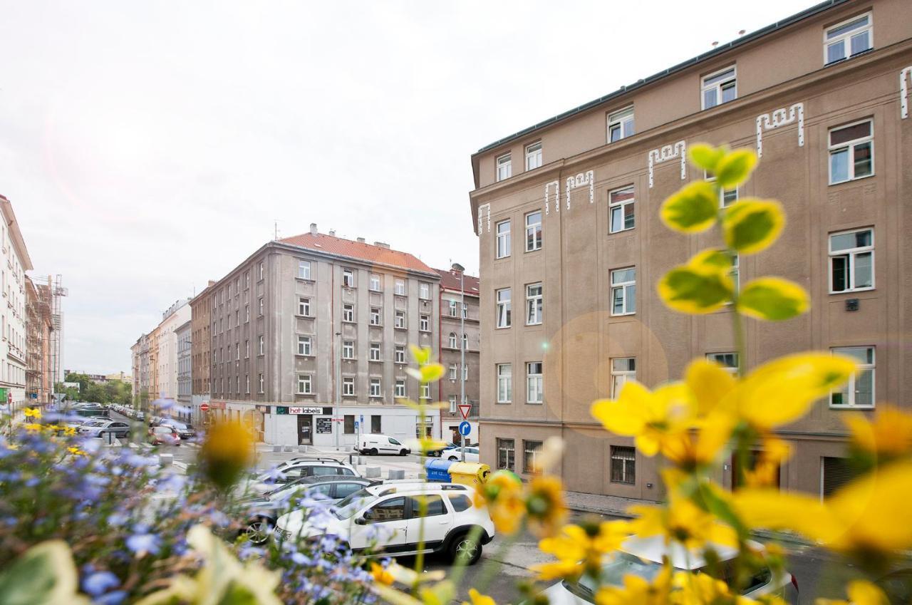 Close To City Centre - Hillside 11 Apartment