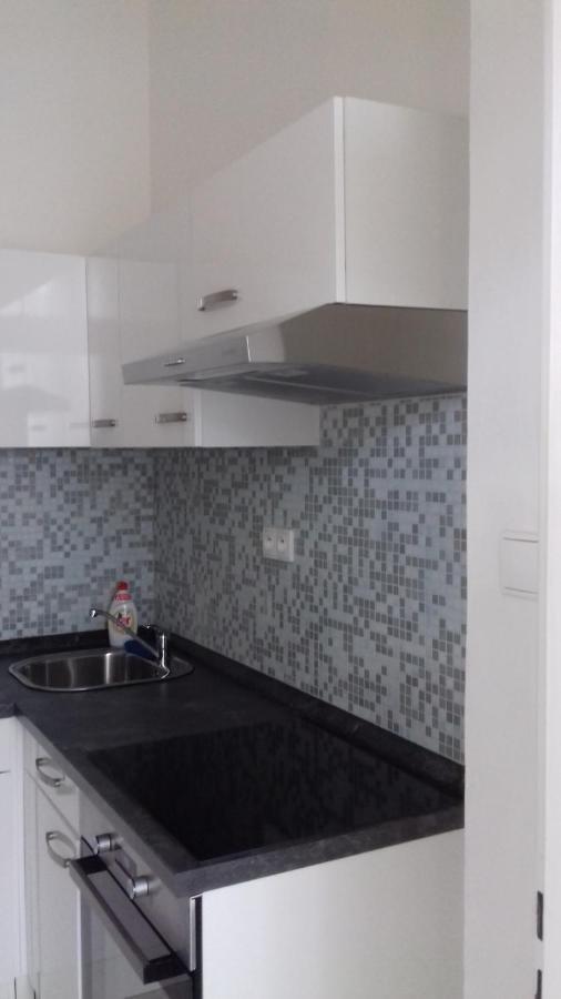 Sekaninova 52 Retro Flat Daire Prag
