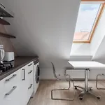 Attic Maisonette In Stresovice By Prague Days
