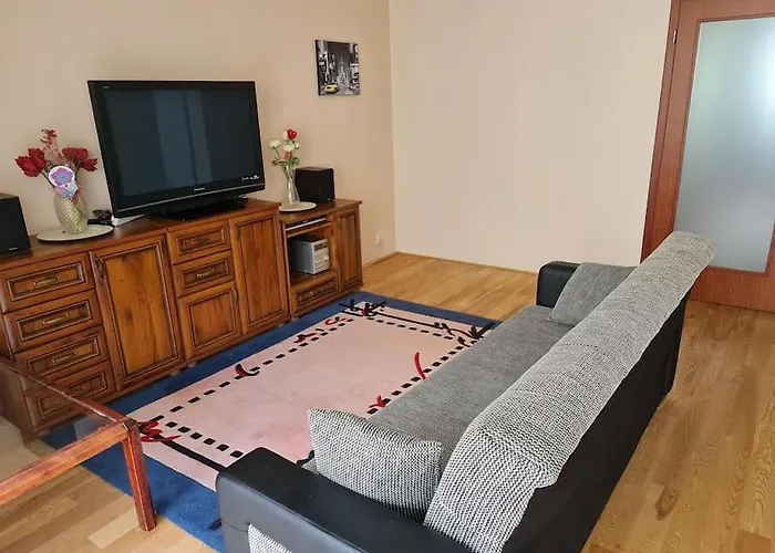 Comfortable Apartment!