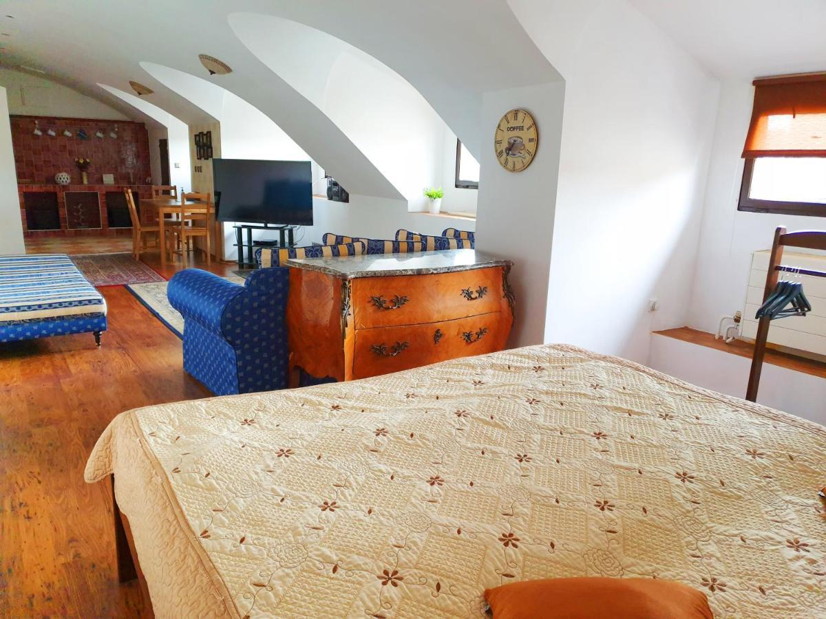 Studio Karluv Most Apartment Prague