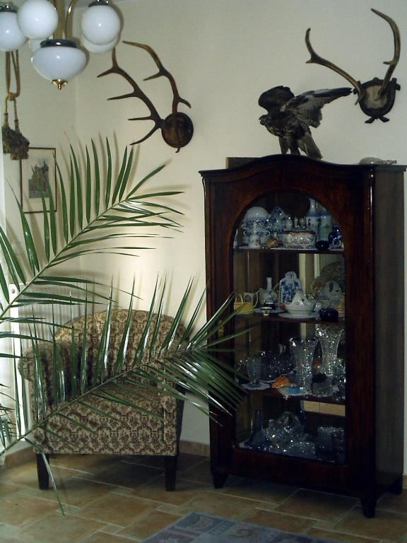 Guest house Olivia 3*