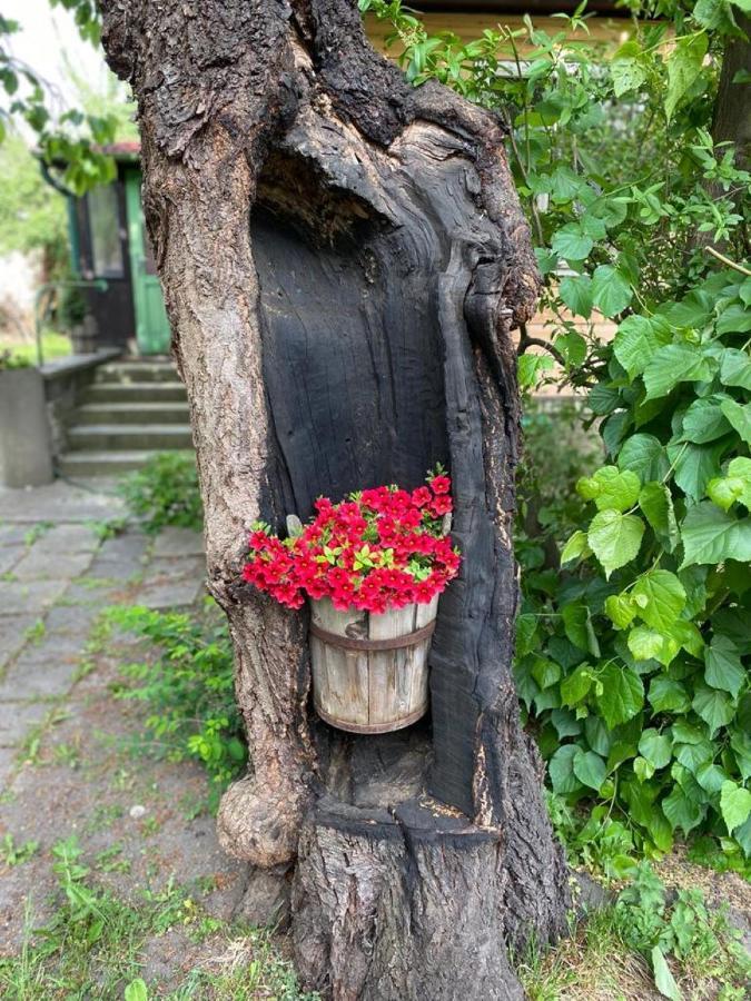 Apartment Old Summer House *