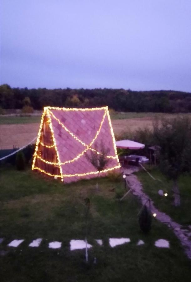 Tiny House In The