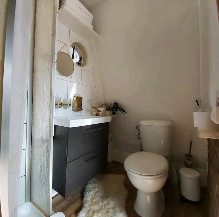 Tiny House In The * Prag