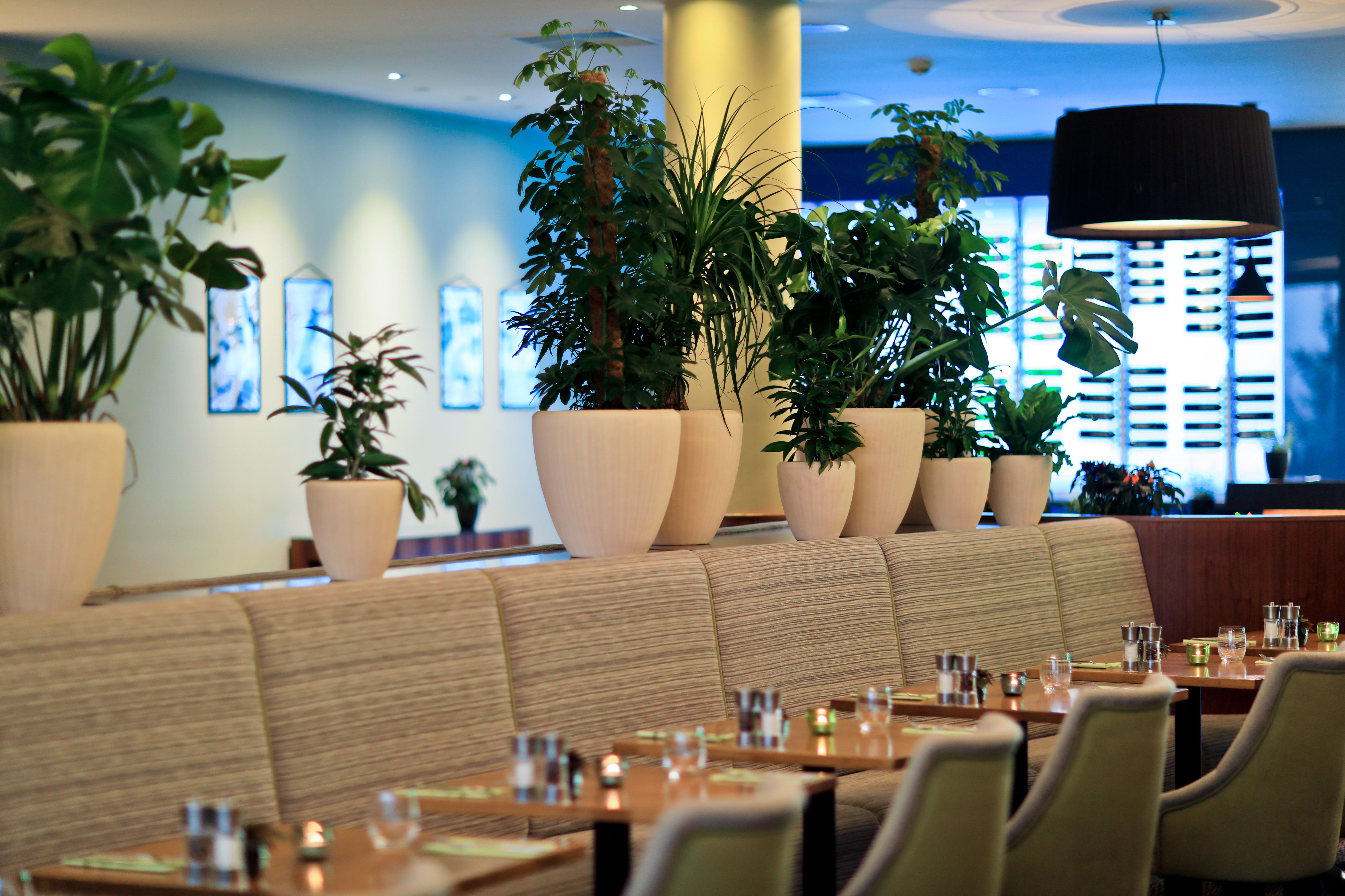 Hotel Botanique
