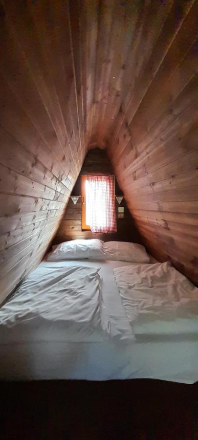 Tiny House In The *