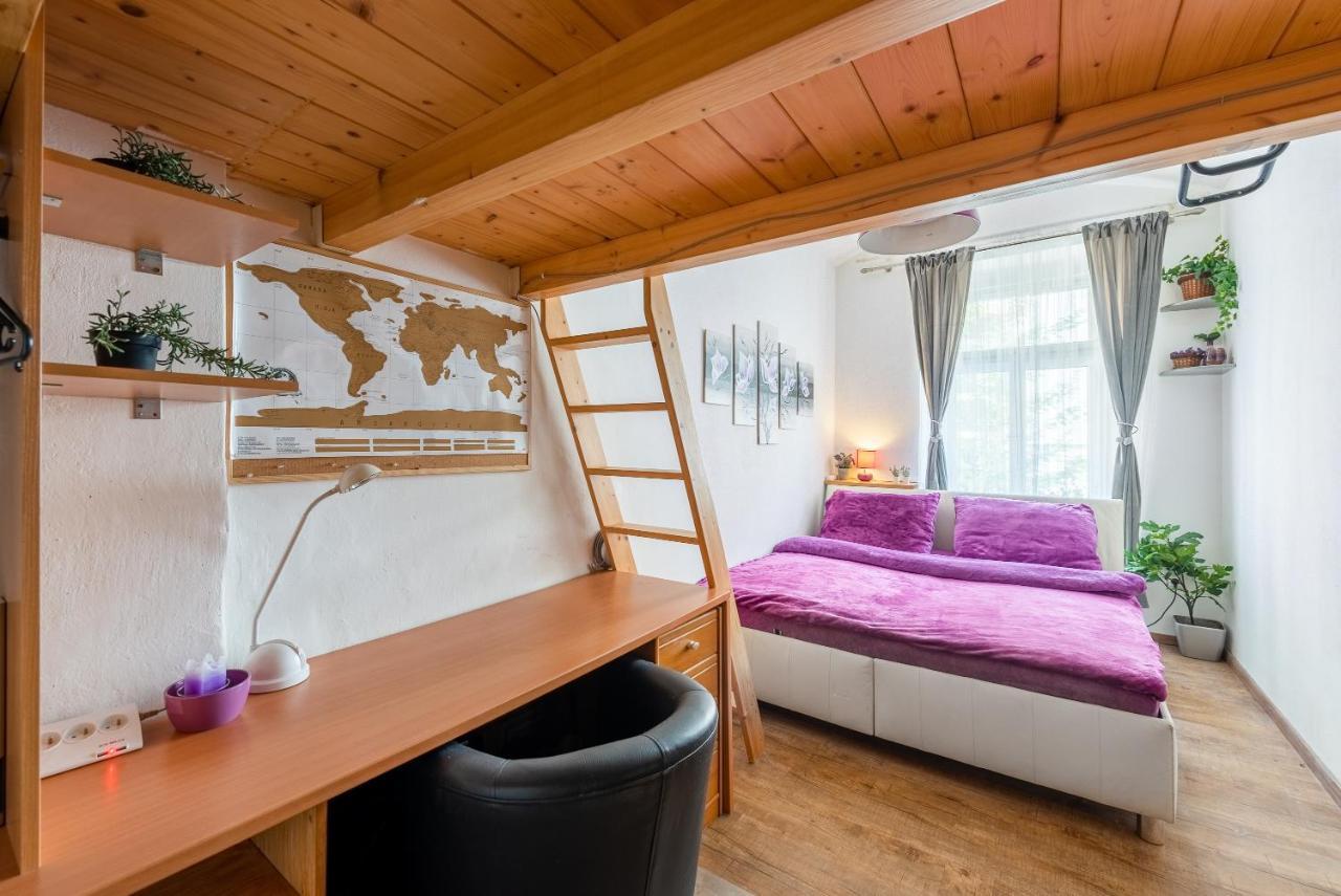 Zizkov Apartamento *