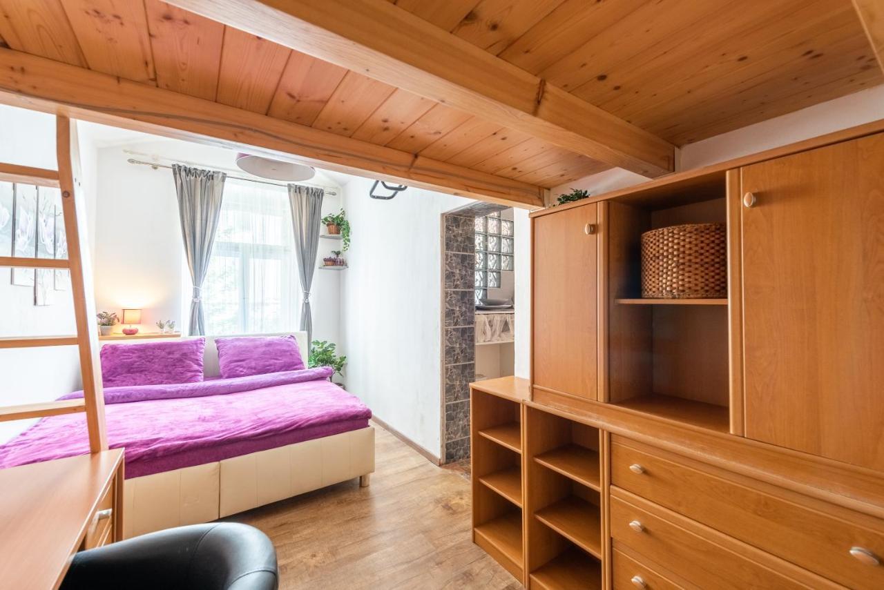 Apartamento Zizkov *