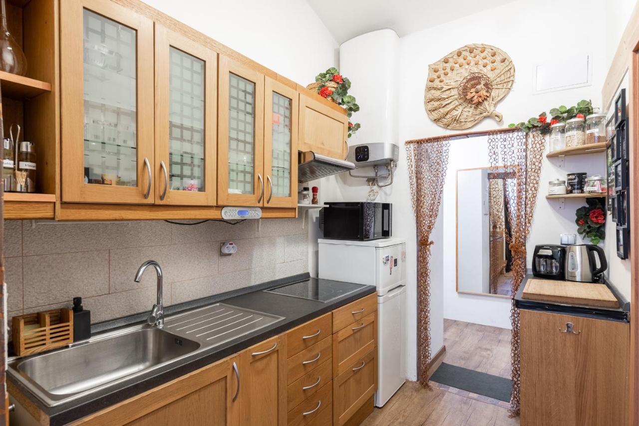 Zizkov Apartamento *