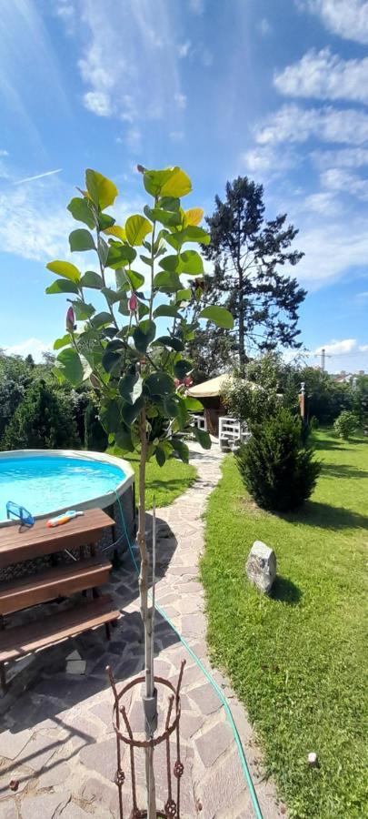 Country In The Villa Prague