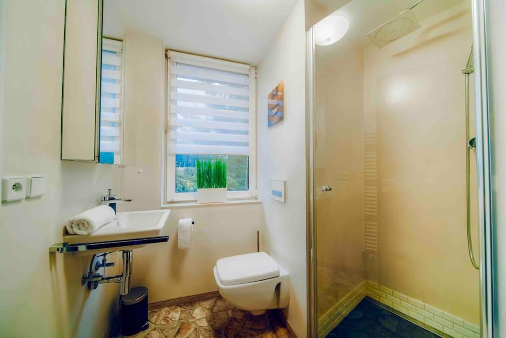 Apartment Lovely 3bd - Rooftop - Jacuzzi&sauna Prague
