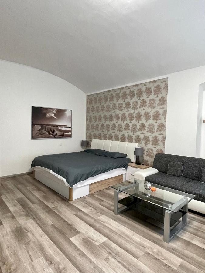 Appartement Wenceslas Square Two-floor *