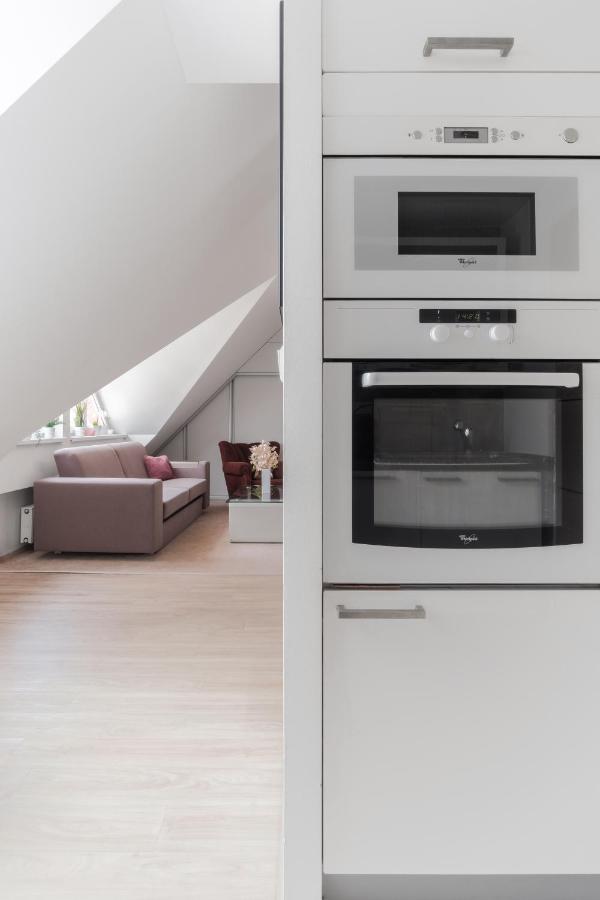 Attic Maisonette In Stresovice By Days * Prague