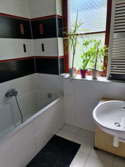 Comfortable Apartment! *