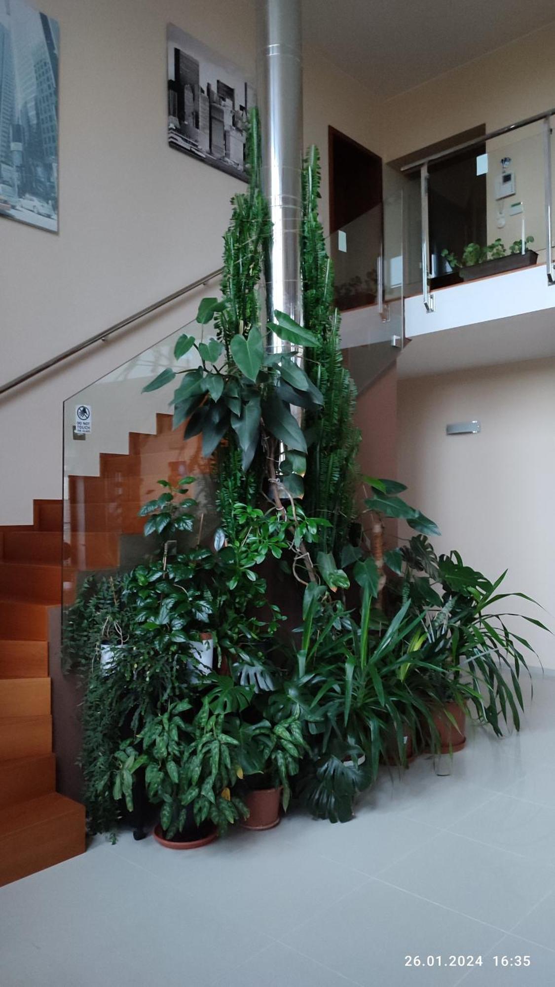 Homestay Nad Helmrovkou