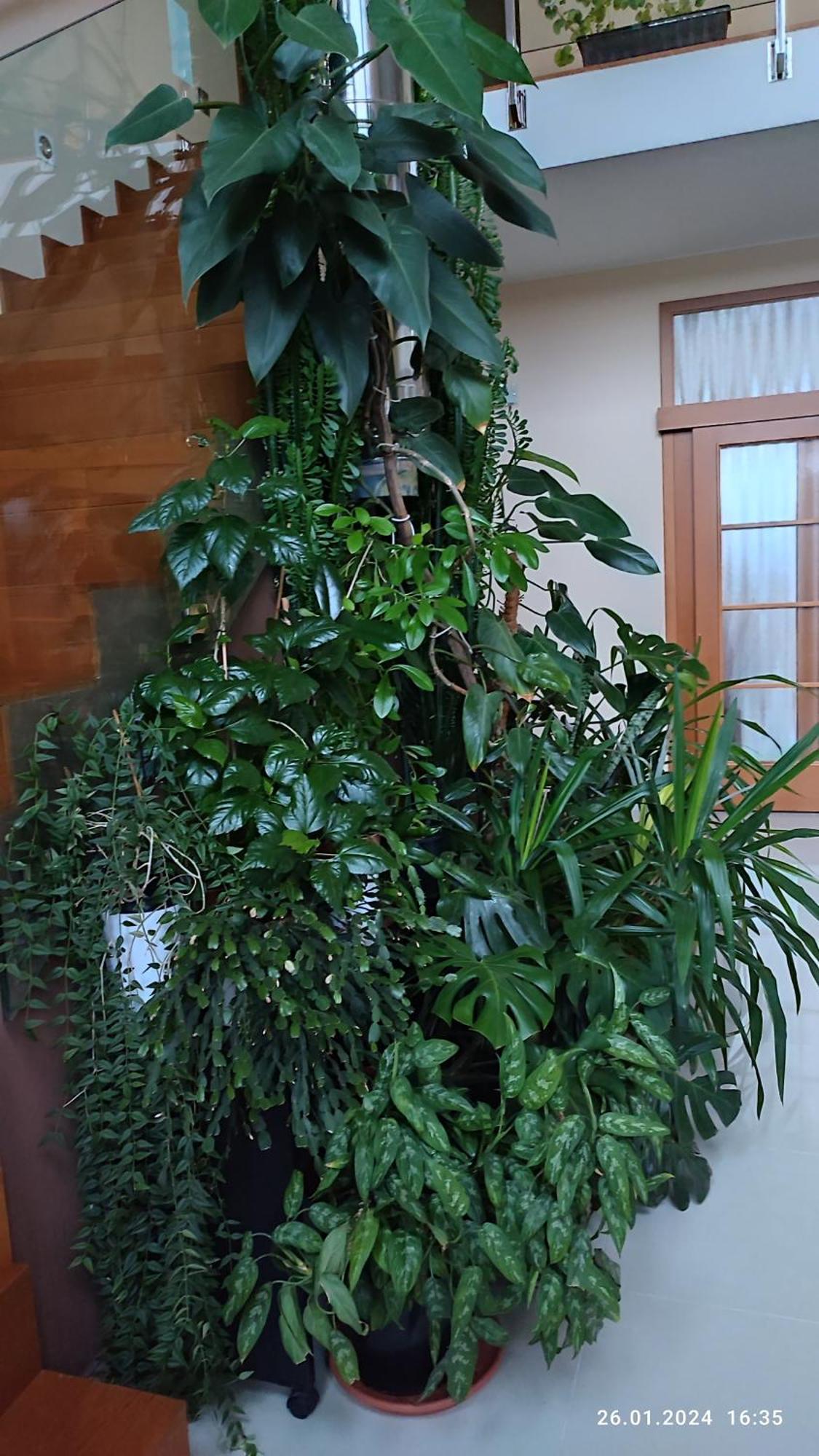 Nad Helmrovkou Homestay