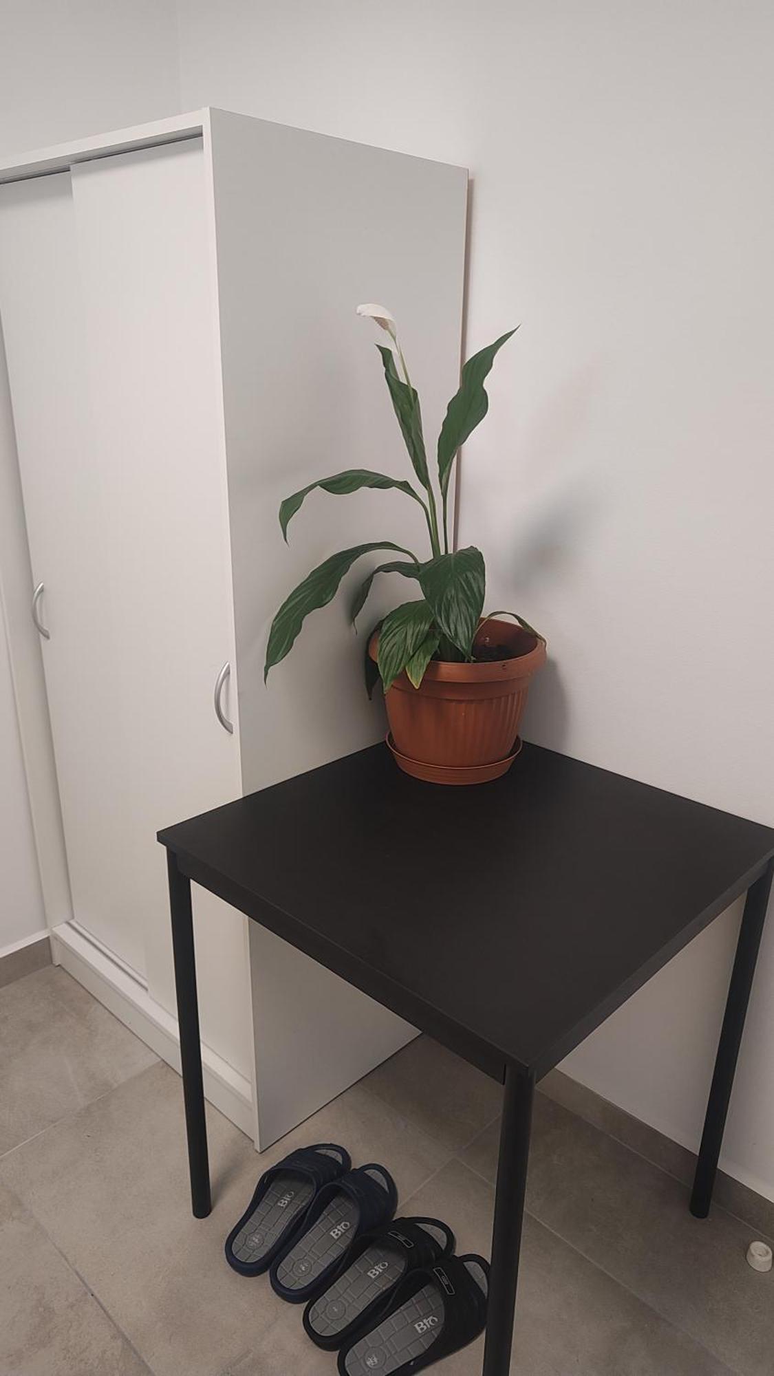 Appartement Vu's Prague