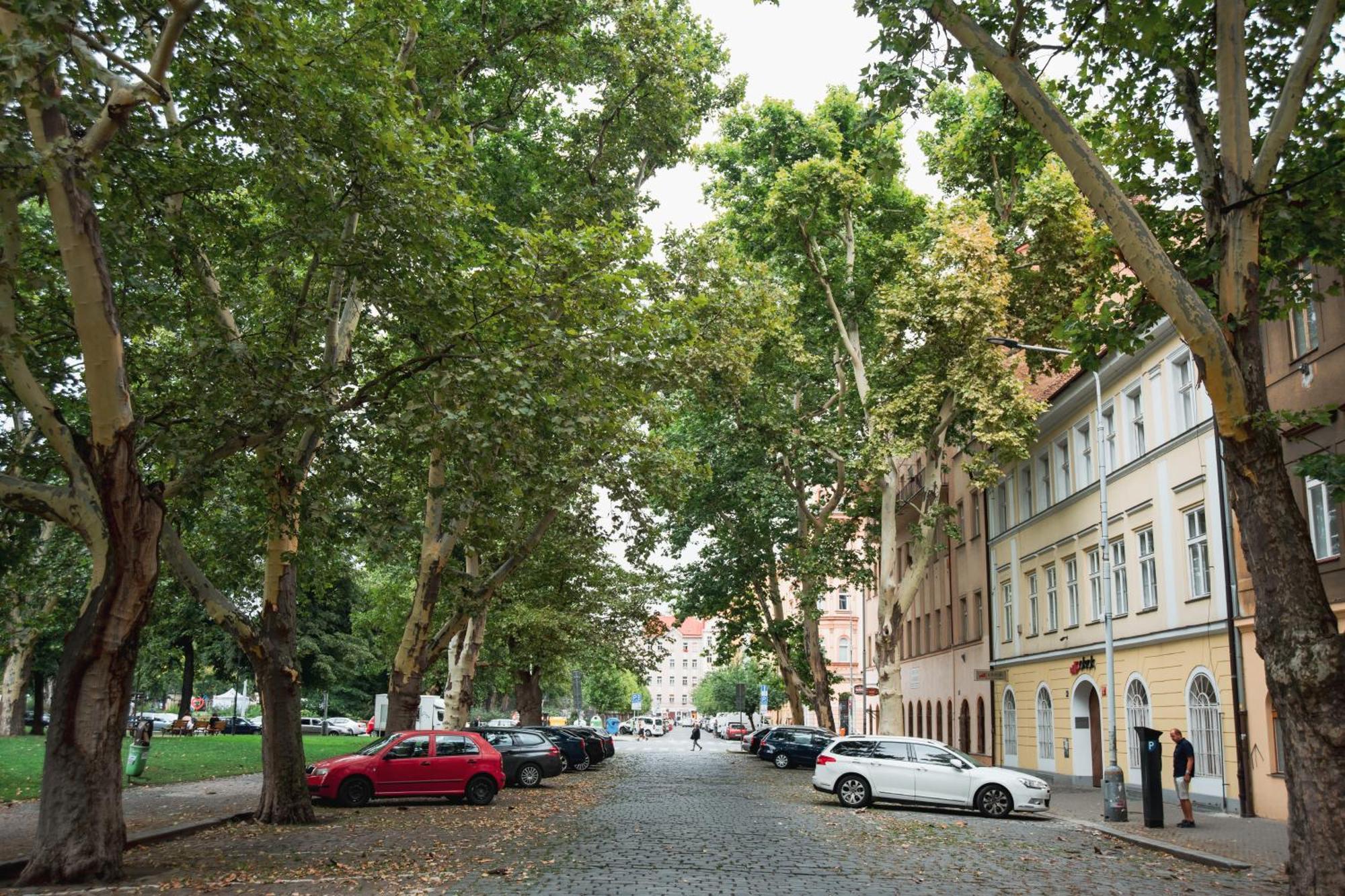 K-14 * Prague