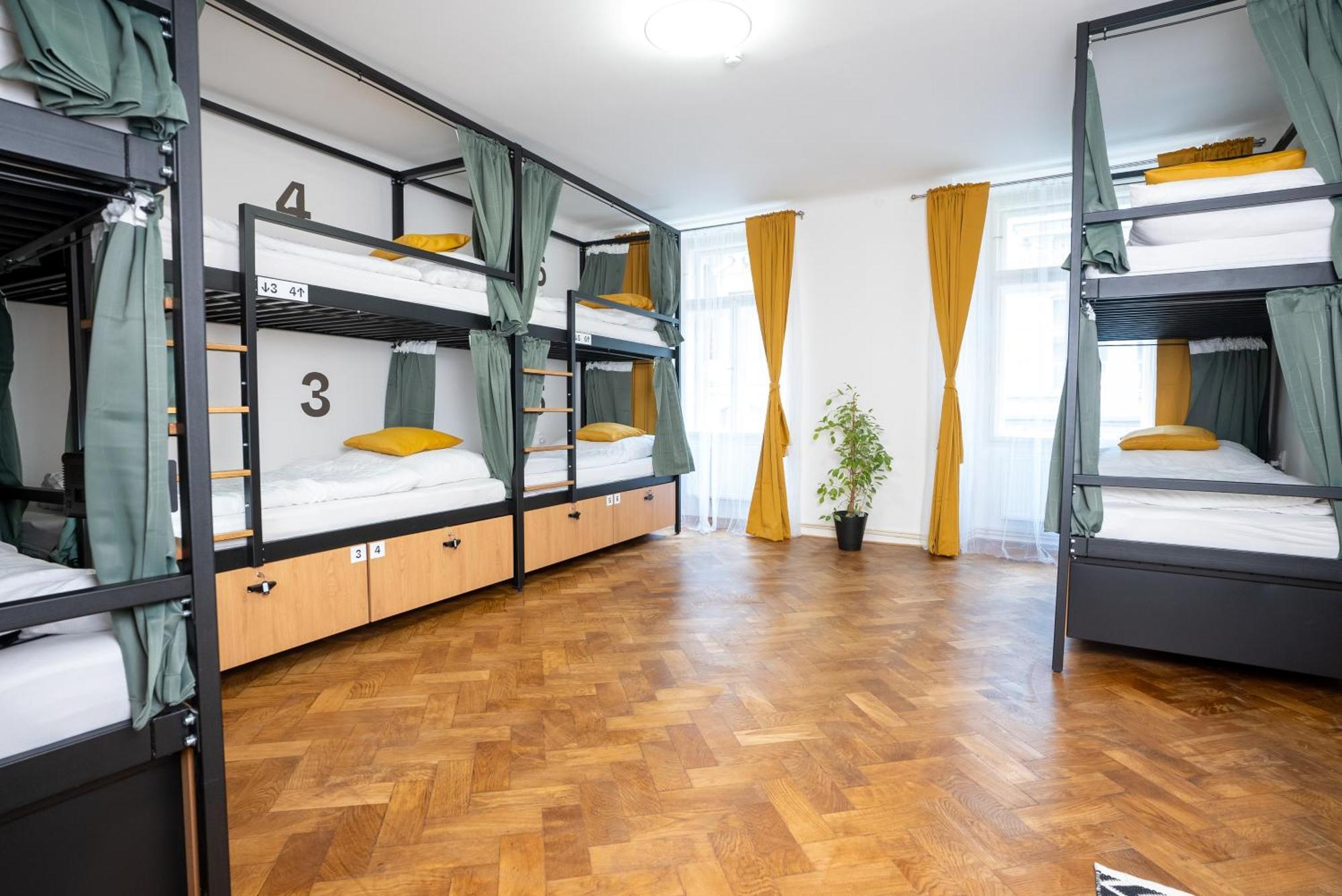 White Wolf House & Auberge de jeunesse *