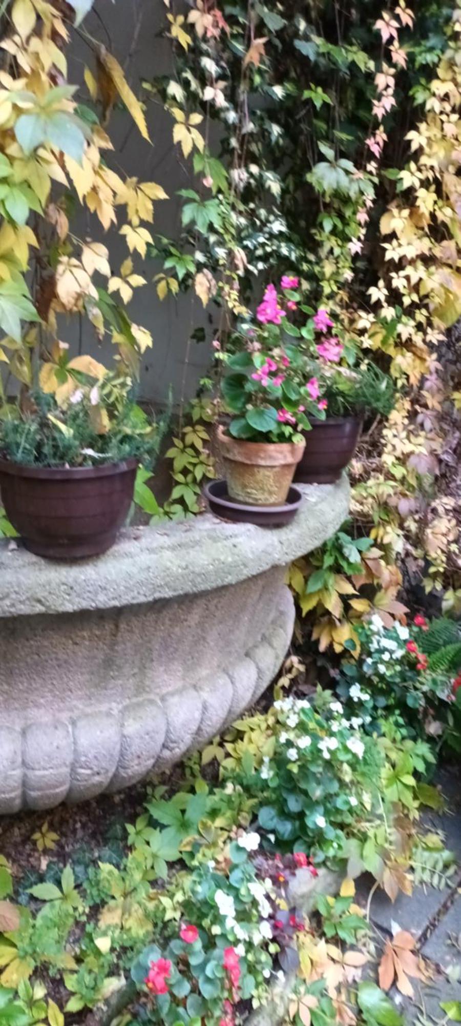 Miraculous Apartamento Praga