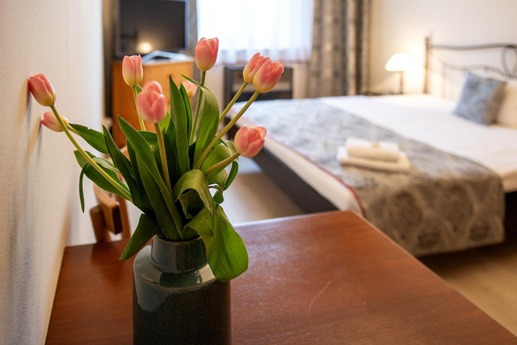 Hattrick Guest house