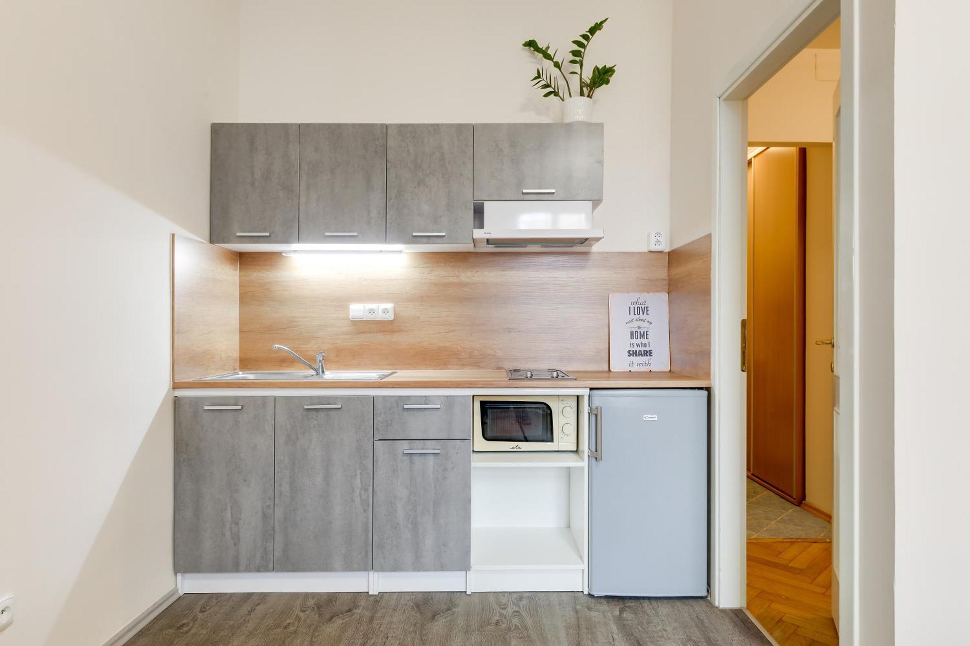 Apartamento Nejedleho Praga