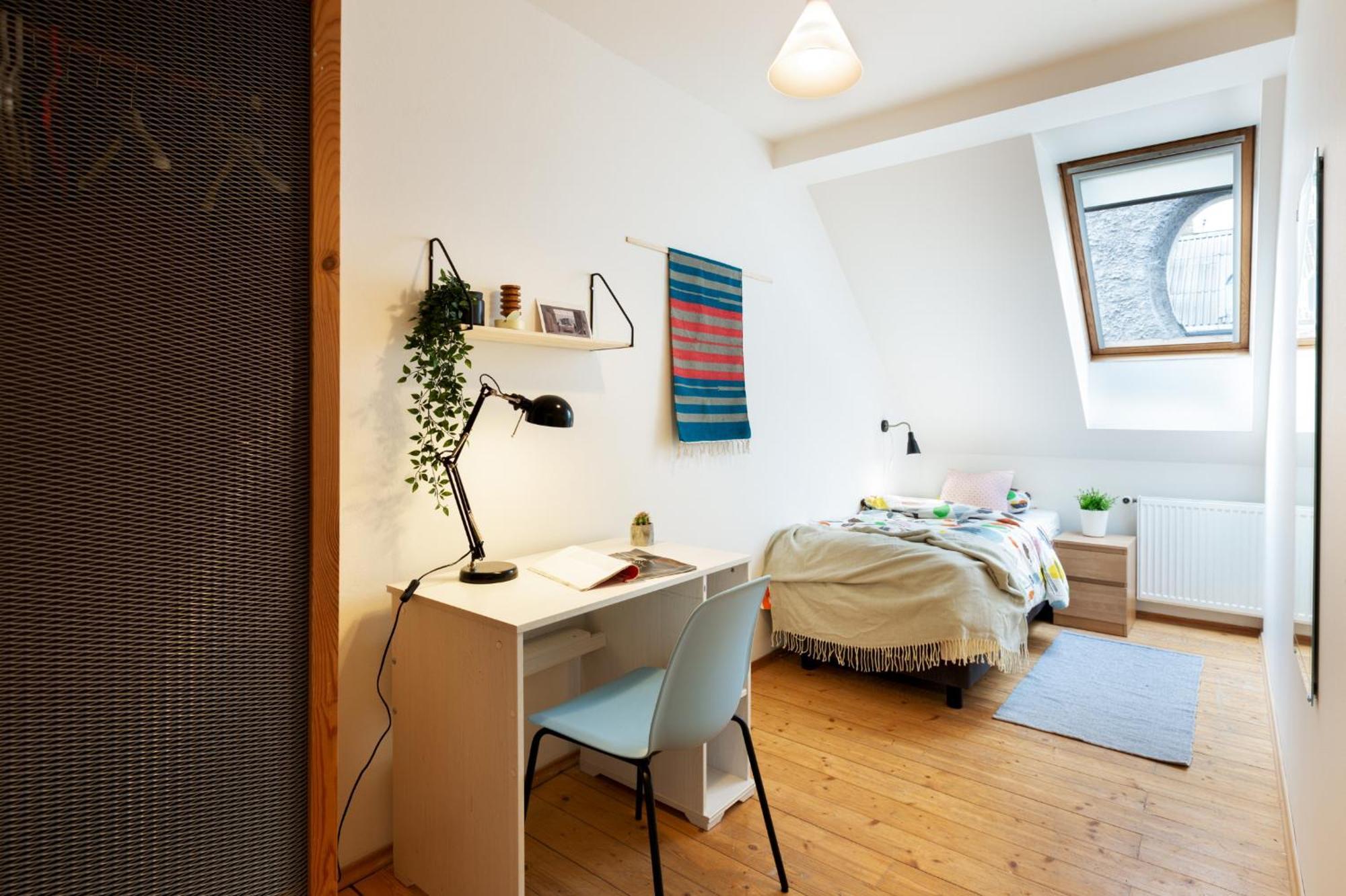 Apartment Slavikova Prague