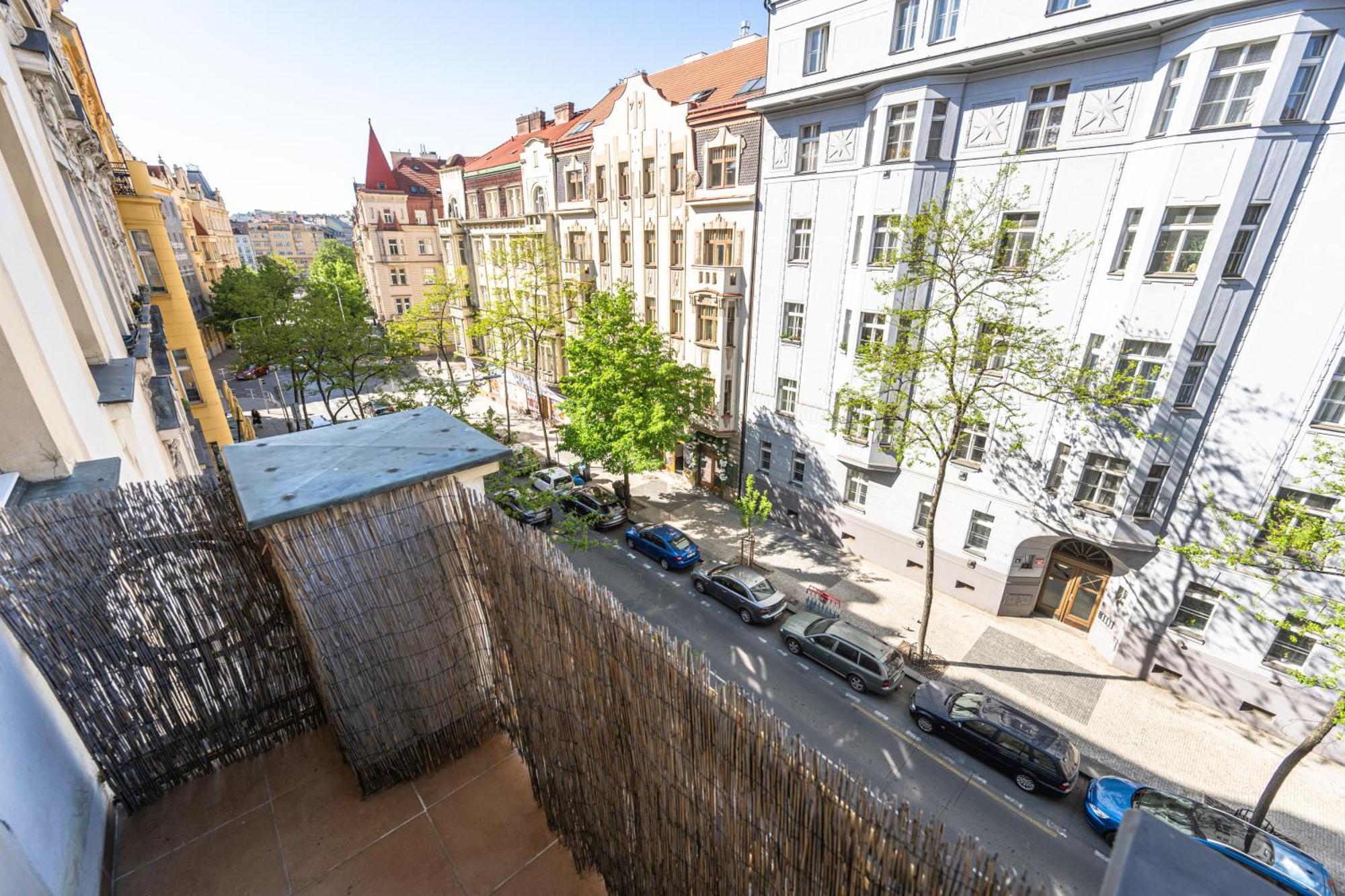 Apartment Slavikova *