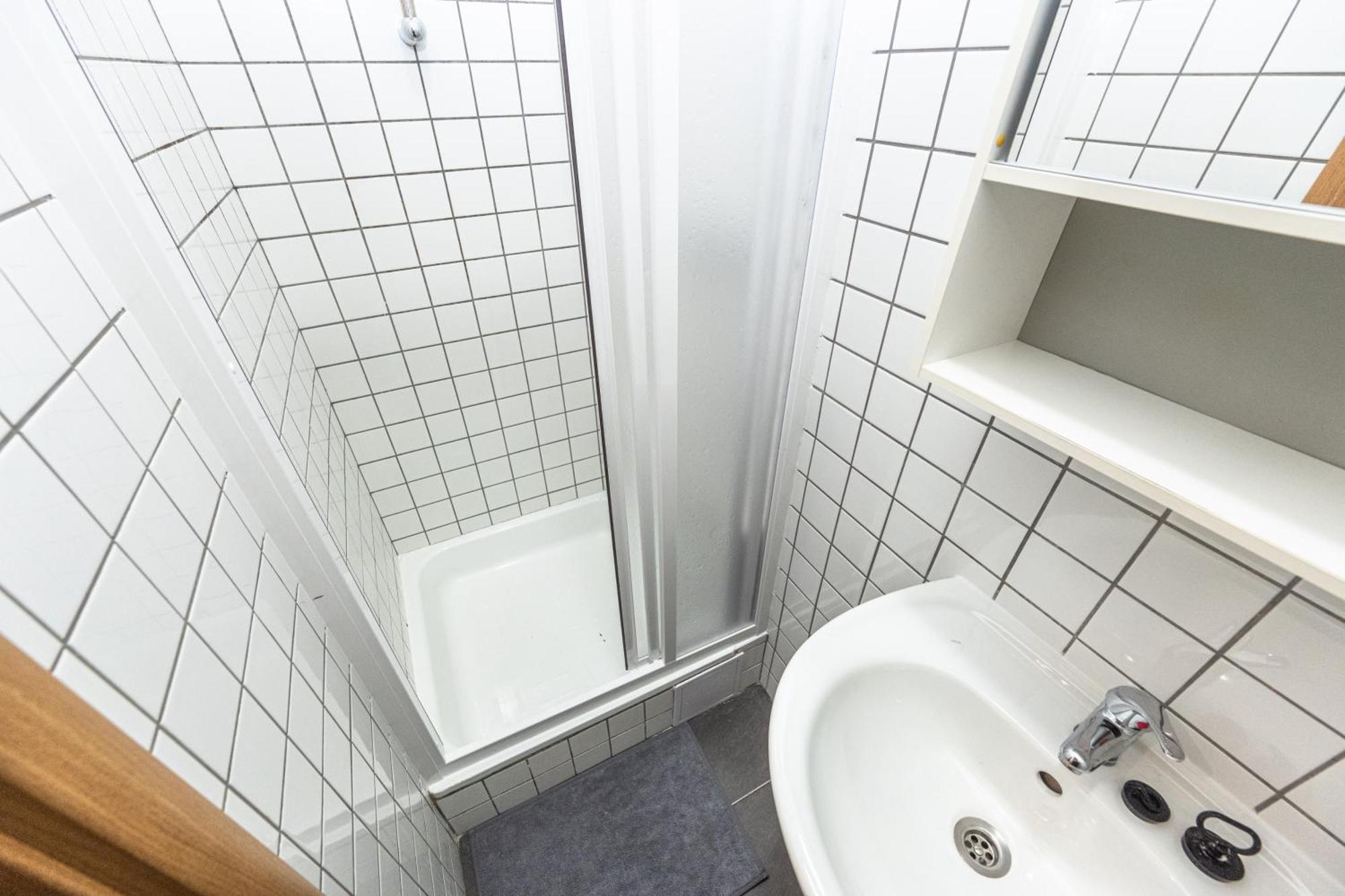 Apartment Slavikova