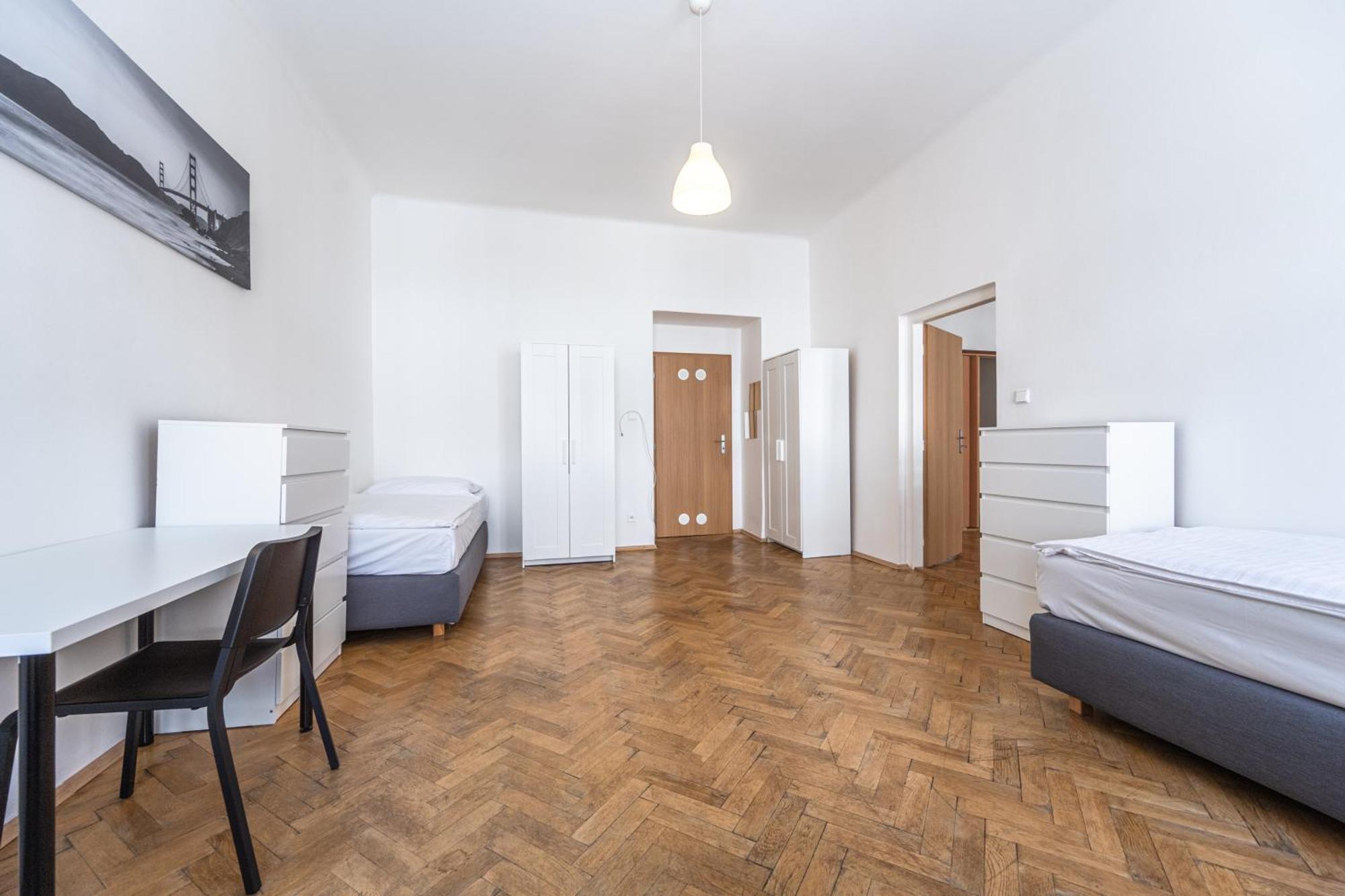 Apartment Slavikova *