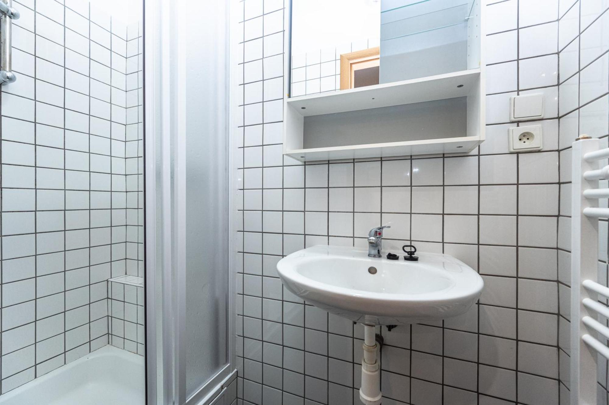 Apartment Slavikova Prague