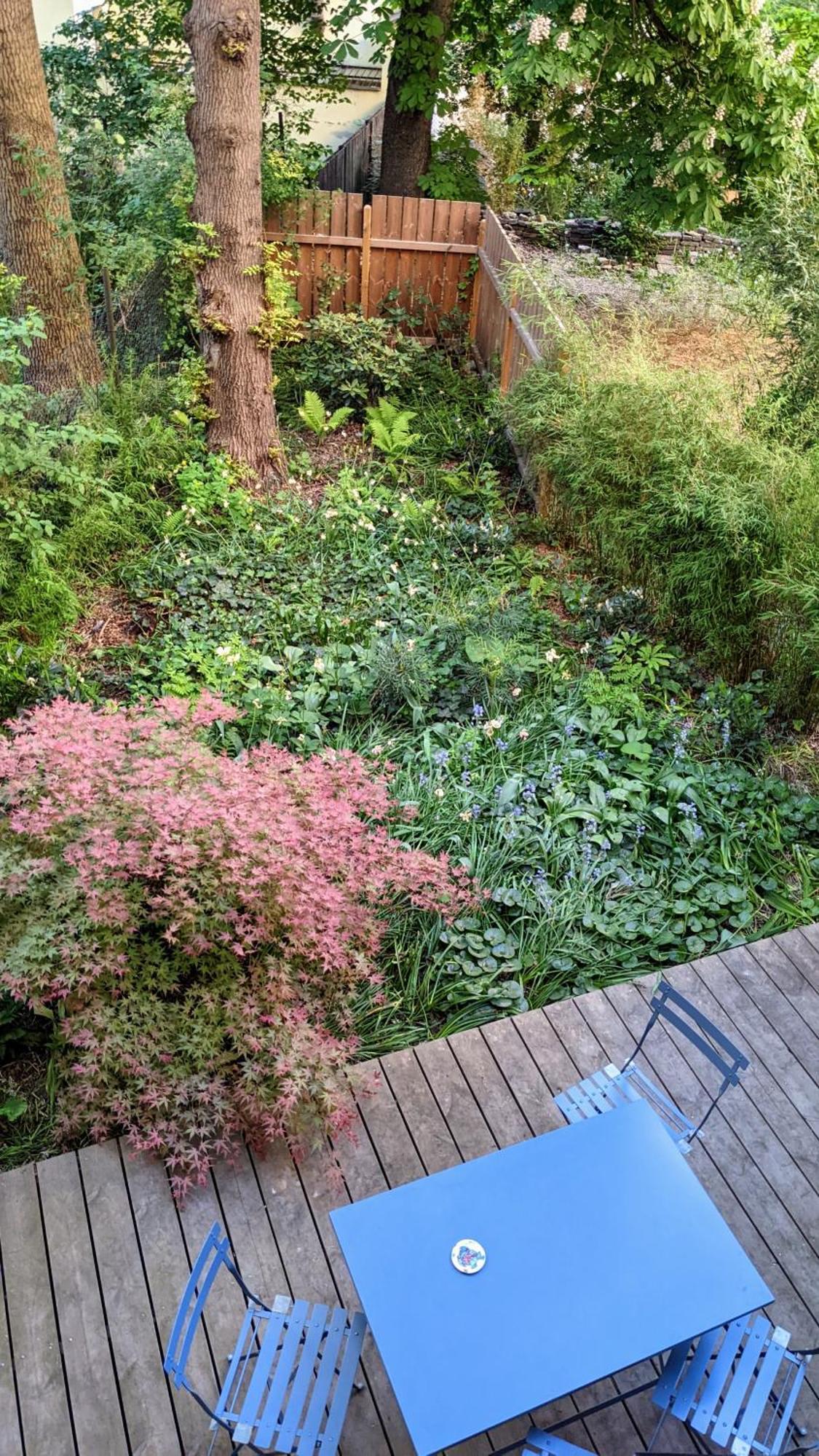 Romantic And Atypical In Prague's Montmartre Daire Prag