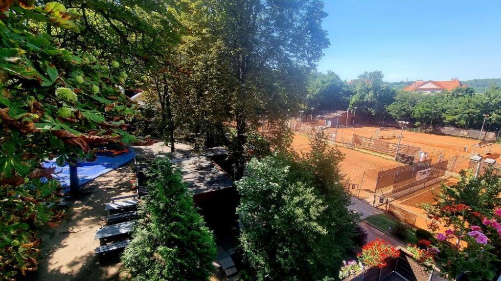 Guest house Tenis Cibulka