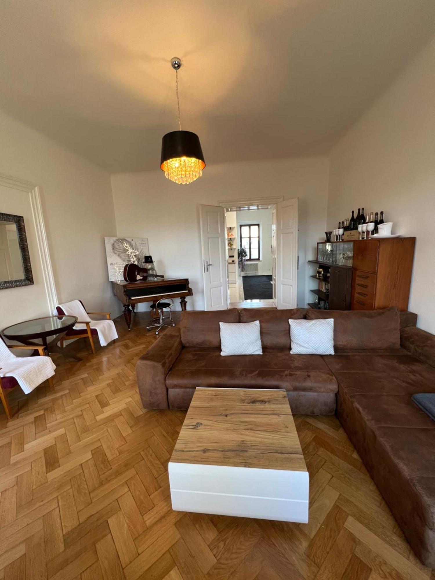 Apartment Wenceslas Square 150 M2 Prague